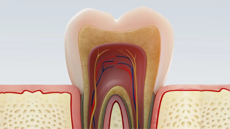 QIAWI® Teeth Armor Drops
